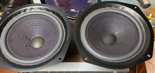 Vintage refoamed pair - of, large