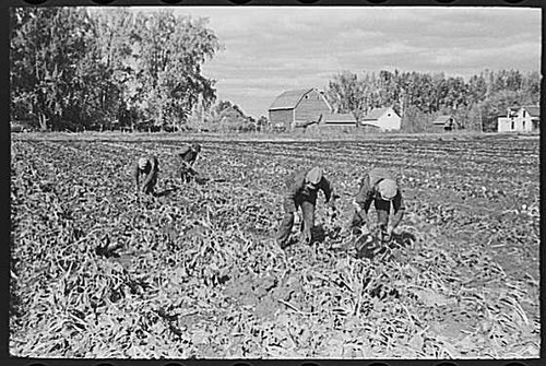 Photo east grand forks - grand,