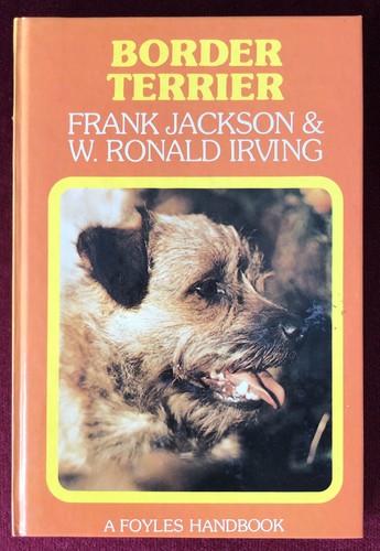 Border terrier f - border, hb