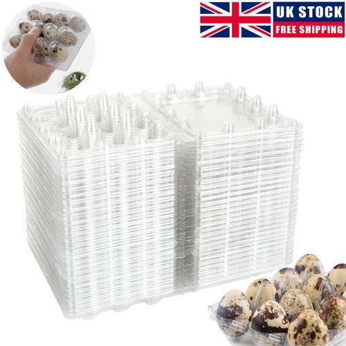 100pcs heavy duty quail egg - 100pcs, heavy-duty