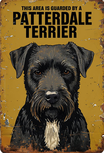 Guarded patterdale - guarded, a