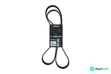 KAMOKA V-RIBBED BELT 7018004