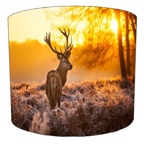 Deer stag hunting - deer,
