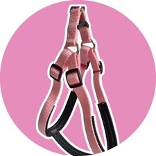 Pink padded dog puppy - pink, /