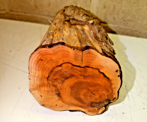 150x140x220mm lot 167b yew - 150x140x220mm,