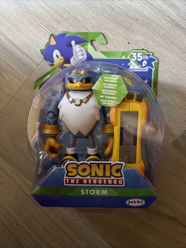 Sonic the hedgehog storm - the,