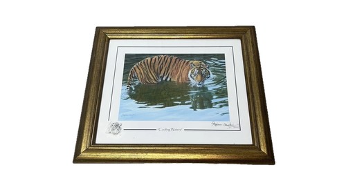 Stephen gayford cooling waters - stephen,