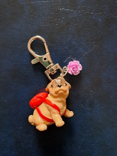 Cute pug - cute,