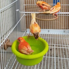 Bird Water Bath Tub for Pet