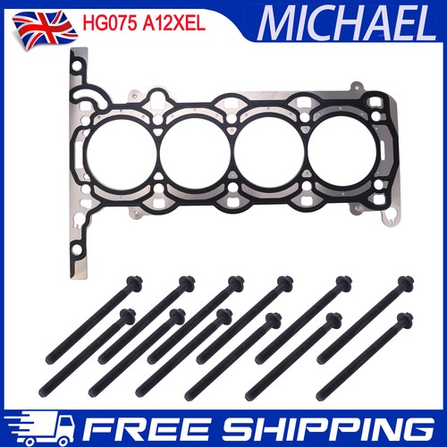 Head gasket bolts for insignia - bolts,