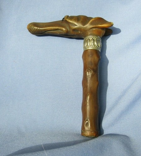 Whippet italian greyhound cane - greyhound,