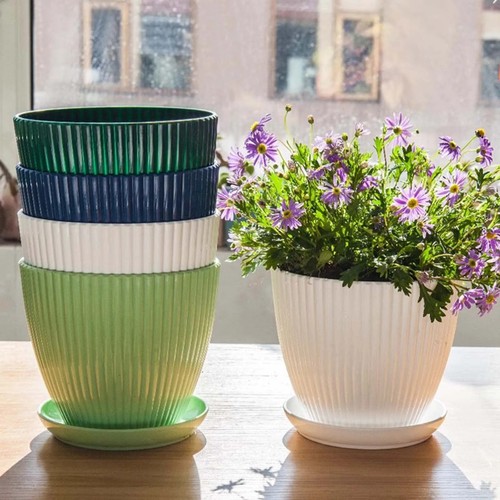 Plant pots indoor - plant,