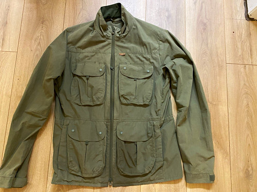 Paramo halcyon traveller - paramo,