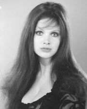 Madeline Smith Beautiful Busty Hammer Horror Glamour Portrait 8x10 Photo