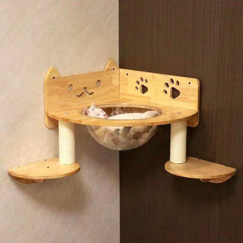 Petomg cat perch - cat, bed