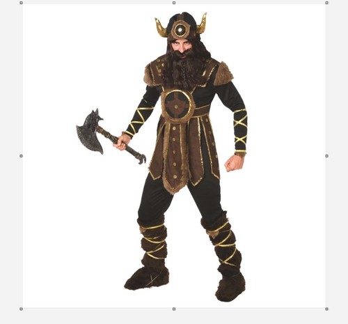 Viking nordic warrior fancy - nordic,
