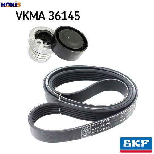 Vribbed belt set vkma 36145 - vribbed,