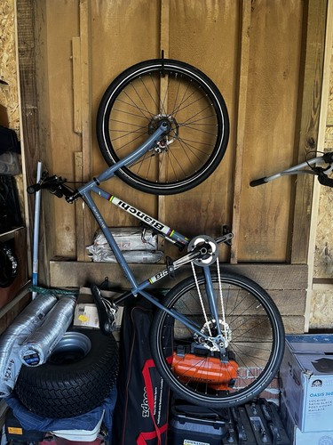Bianchi single speed - bianchi,