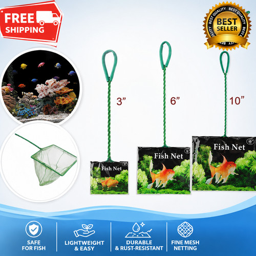 Aquarium fish net tropical - fish,