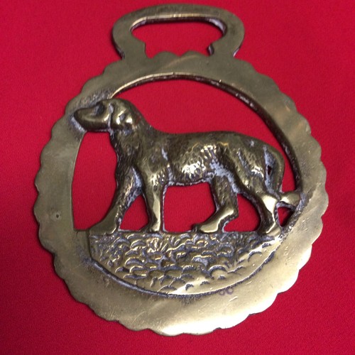 Horse brass dog - brass, design