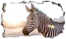 Zebra 3D Magic Window Wall Art