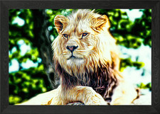 Lion Framed Wall Art Poster