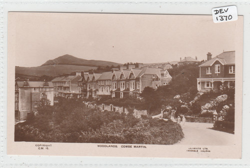 Combe martin devon - , woodlands