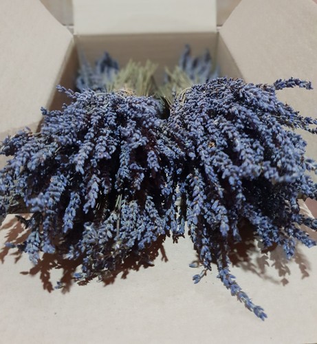 Greek dried lavender bunches - lavender,
