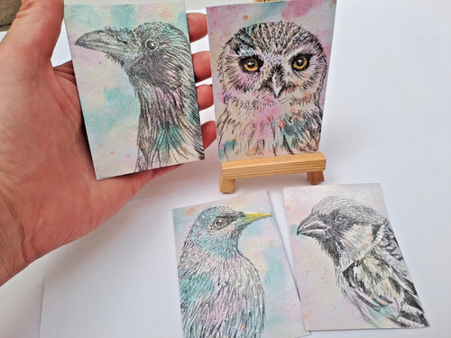 Bird aceo originals not - 4x,