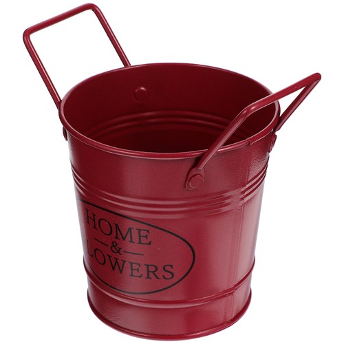 Iron flower pot with - flower,