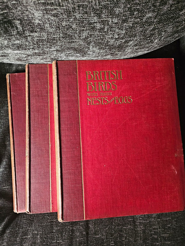 British birds nests eggs vol - birds,