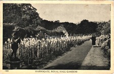 Harrogate Royal Hall Gardens
