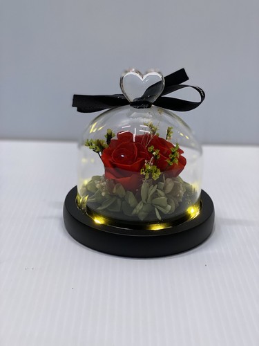 Forever roses preserved real - forever,