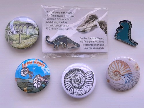 Brand new ammonite lyme - new, /