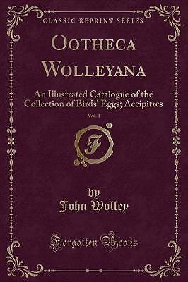 Ootheca wolleyana vol an - ootheca, 1