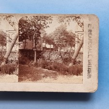 Stereoview Card 3D Real Photo