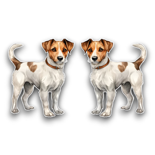 Small cute jack russell - 2x,