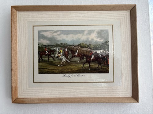 Vintage pimpernel framed - pimpernel,