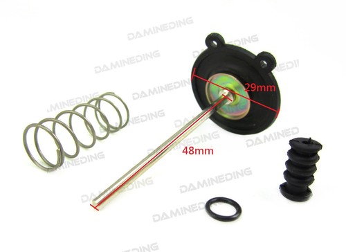 Carburetor accelerator pump - carburetor,