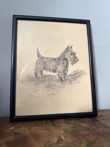 Pencil sketch scottie - scottie, scotland