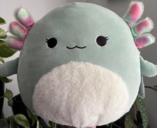 BNWT Axolotl Squishmallow Chasmen Squishmallow Axolotl Plush 12”|30cm