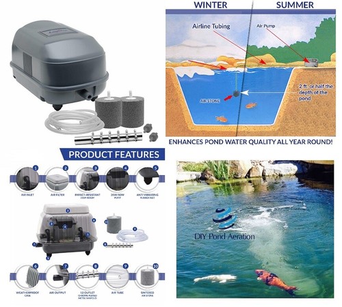 New watt fish - new, aeration
