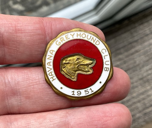 Vintage havana greyhound - havana,