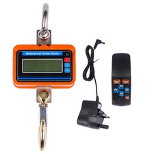 3000KG 3T Mini Crane Scale