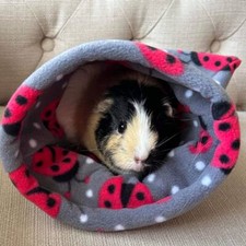 Guinea Pig / Hedgehog Snuggle