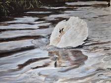 Original acrylic painting - painting, on