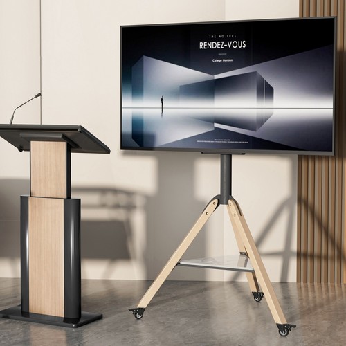 Mobile easel floor stand - mobile, tv