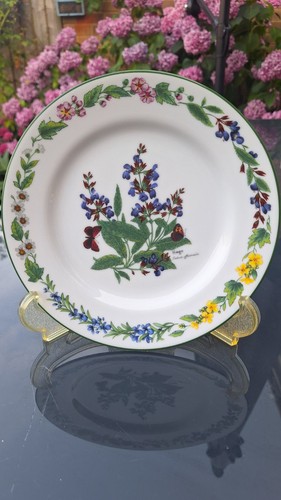 Royal worcester herbs sage - worcester, "sage"