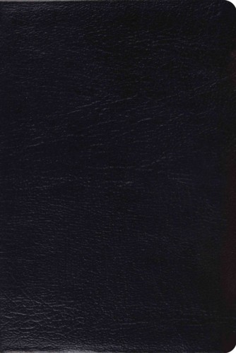 Esv study bible - study, bible,
