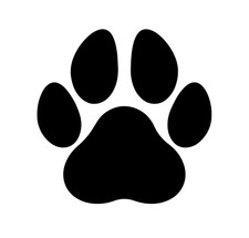 Paw print vinyl stickers 5cm - print,